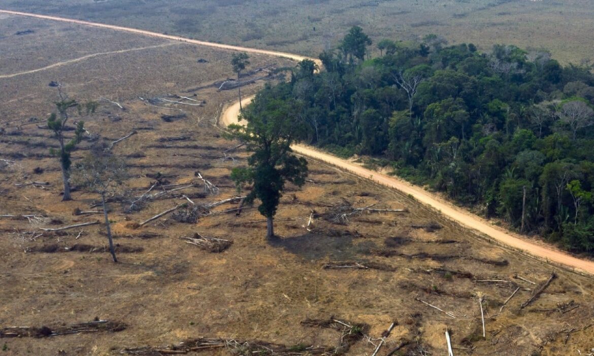 amazonia-desmatamento