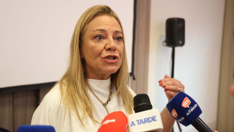 ha_apreensao_de_cometer_erros_diz_deputada_sobre_analise_da_prisao_de_binho_galinha_na_alba_widelg